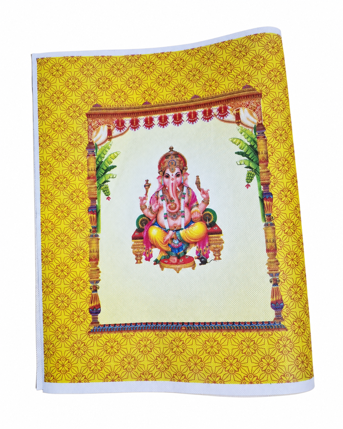 Non Woven Bag