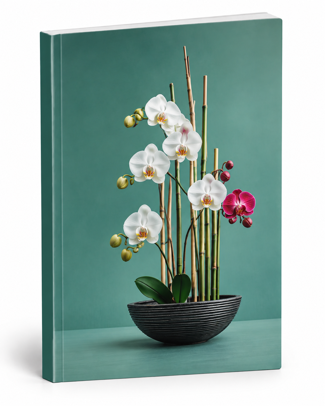 Notebook Cover